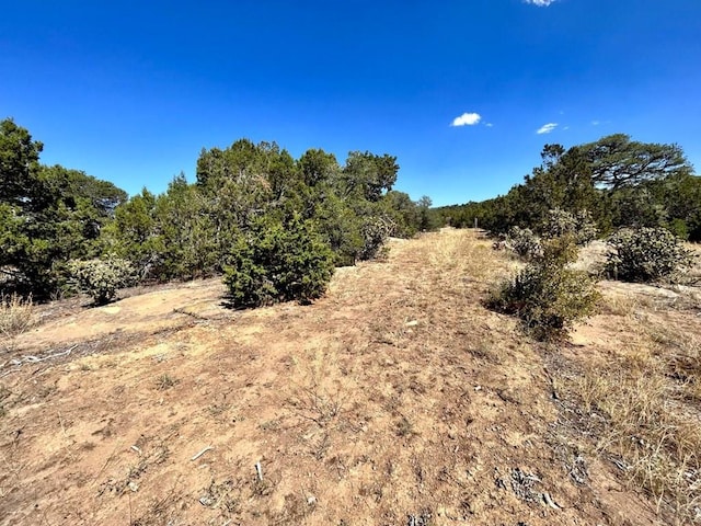 LOT919 Los Vaqueros Cir, Walsenburg, CO 81089 - photo 4