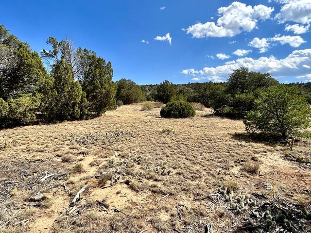 LOT919 Los Vaqueros Cir, Walsenburg, CO 81089 - photo 9