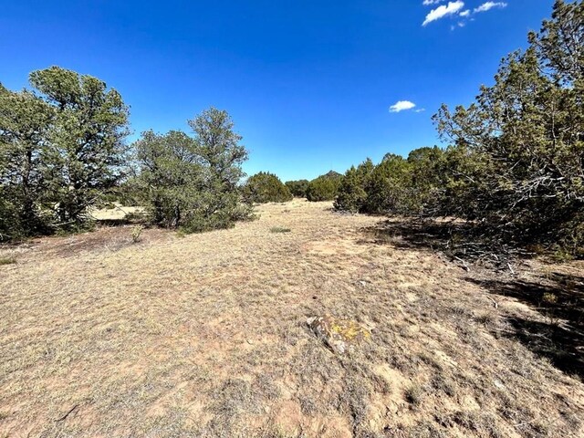 LOT919 Los Vaqueros Cir, Walsenburg, CO 81089 - photo 8