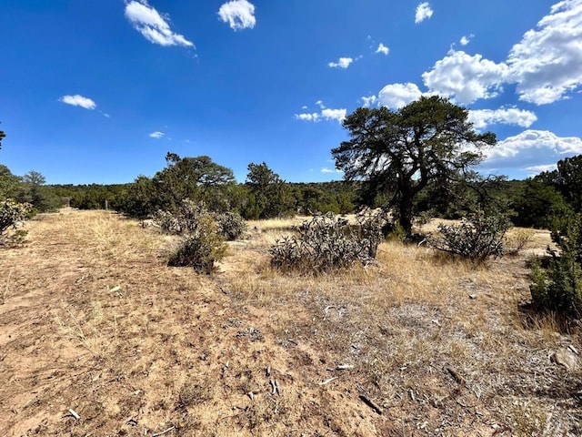 LOT919 Los Vaqueros Cir, Walsenburg, CO 81089 - photo 1