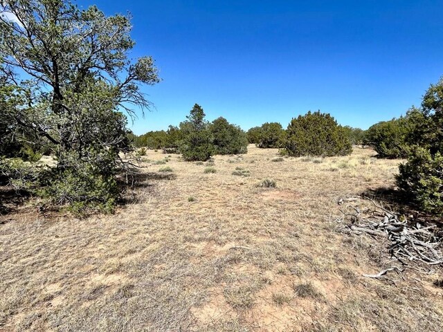 LOT919 Los Vaqueros Cir, Walsenburg, CO 81089 - photo 10