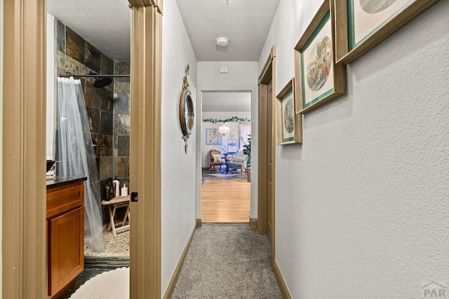 424 Mcclelland Ave, Pueblo, CO 81005 - hallway with baseboards and dark colored carpet