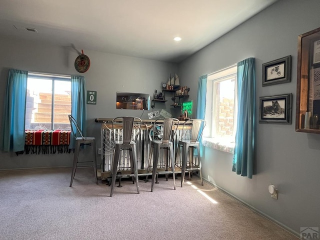 1208 N Platteville Blvd, Pueblo West, CO 81007 - photo 37