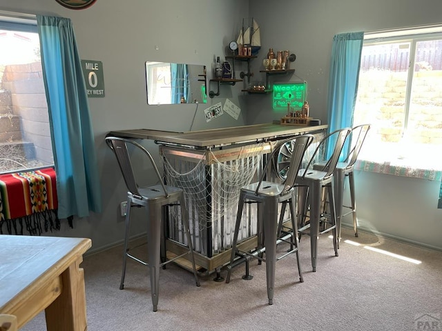 1208 N Platteville Blvd, Pueblo West, CO 81007 - photo 39