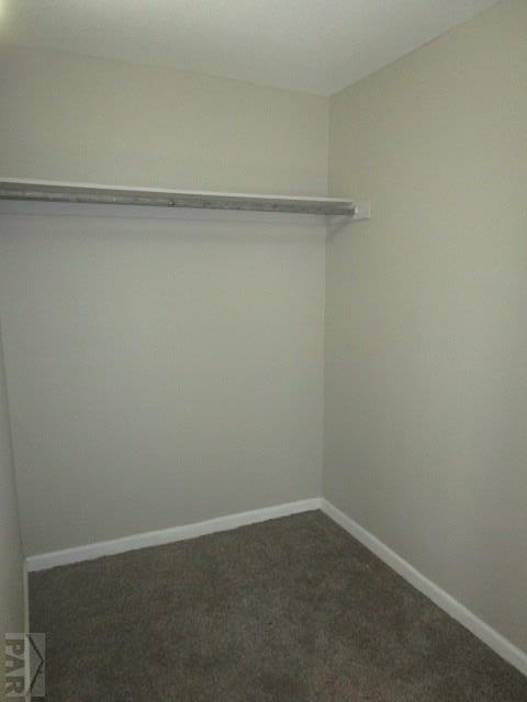 walk in closet featuring dark colored carpet