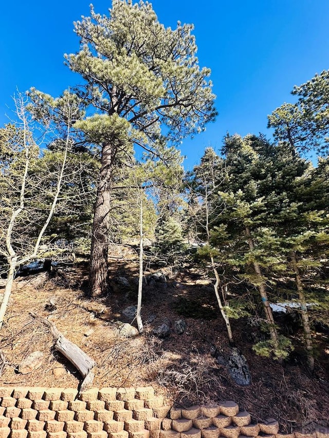 834 Ponderosa Rd, Cuchara, CO 81055 - view of nature