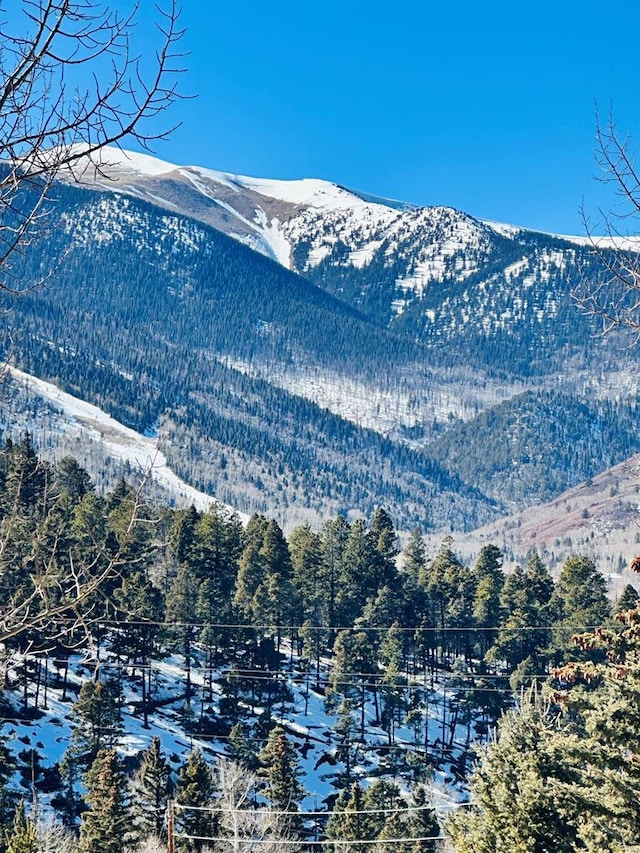 834 Ponderosa Rd, Cuchara, CO 81055 - mountain view