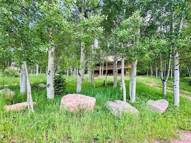 834 Ponderosa Rd, Cuchara, CO 81055 - photo 6