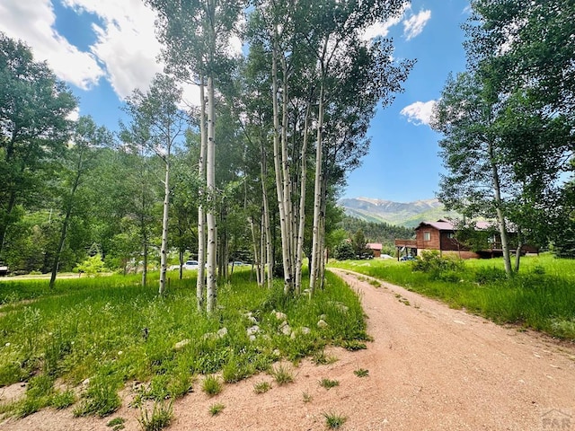 834 Ponderosa Rd, Cuchara, CO 81055 - photo 8