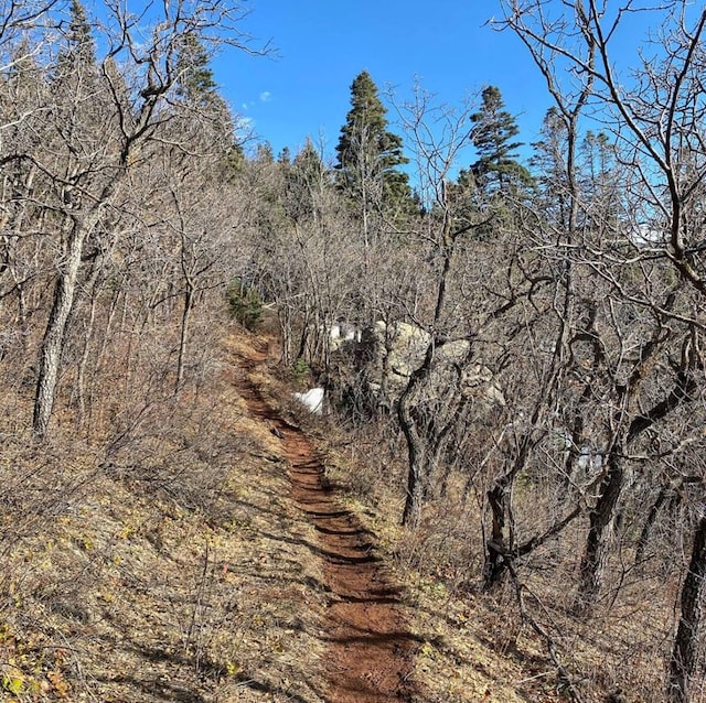834 Ponderosa Rd, Cuchara, CO 81055 - view of nature