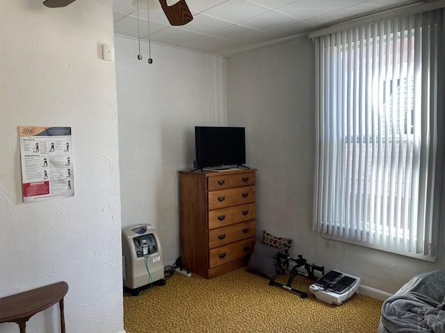 carpeted bedroom featuring multiple windows and ceiling fan