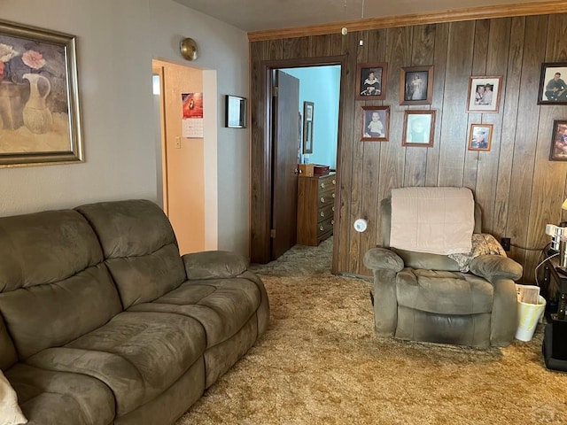 living area featuring wooden walls and carpet