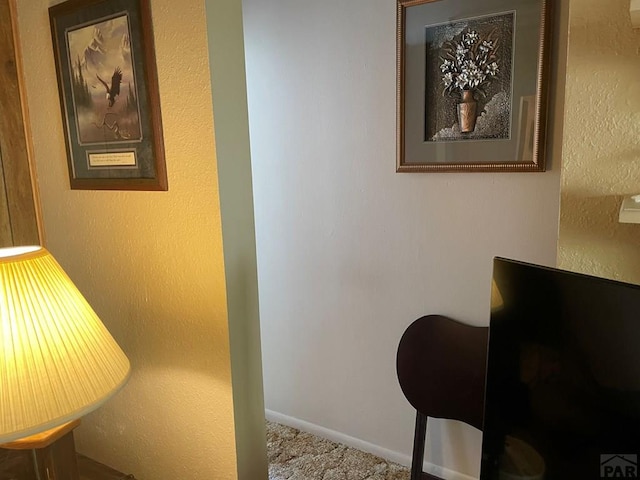 interior space featuring baseboards, carpet, and a textured wall