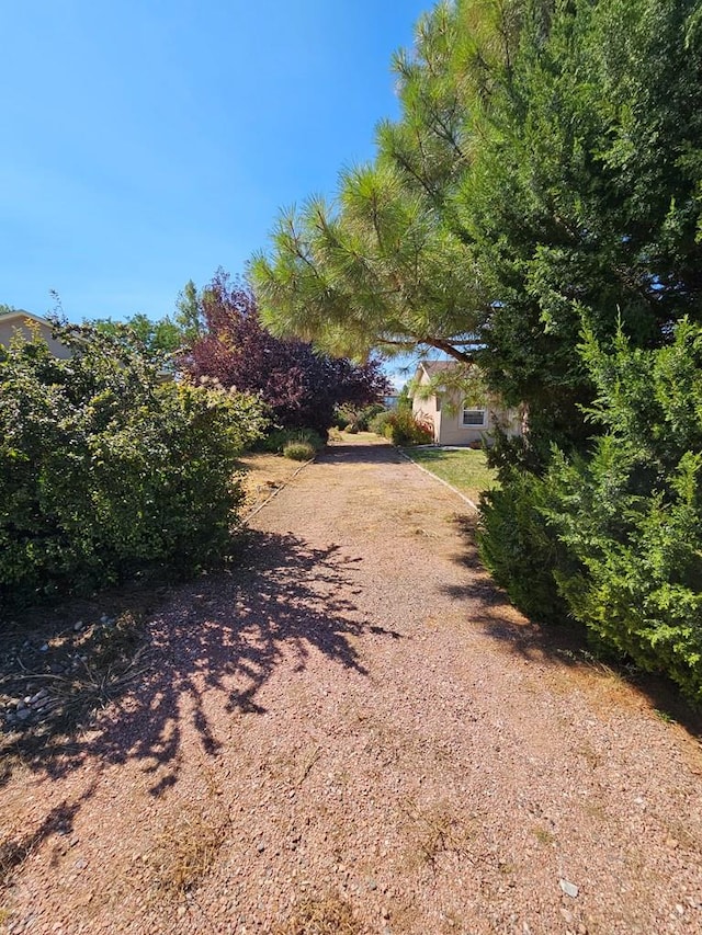 view of yard with driveway
