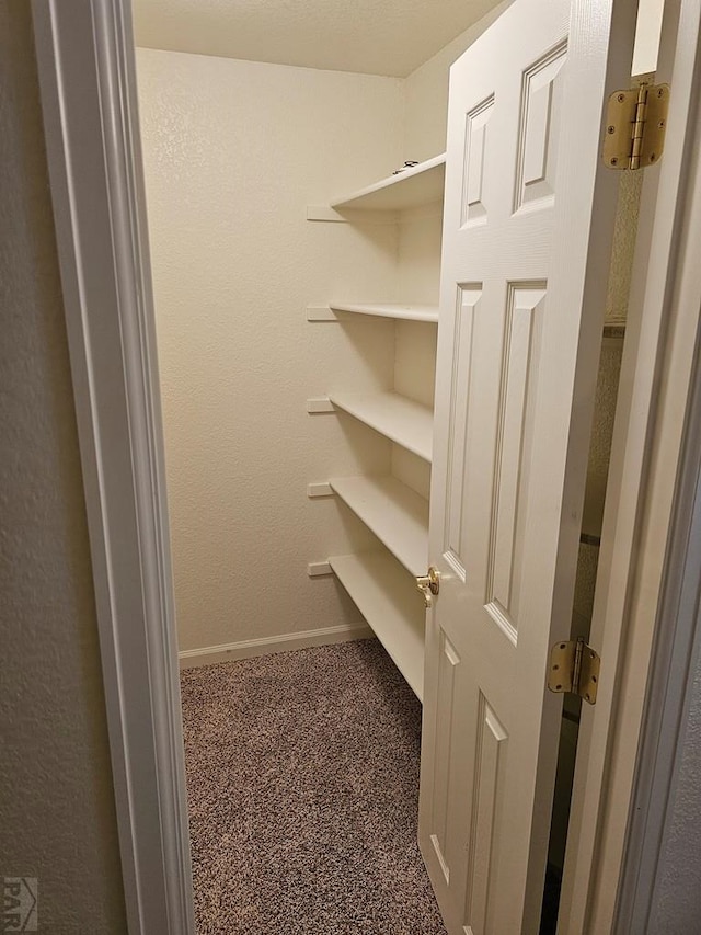 interior space with carpet floors
