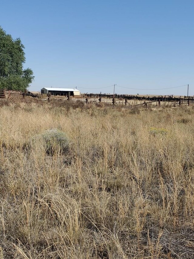 view of local wilderness with a rural view