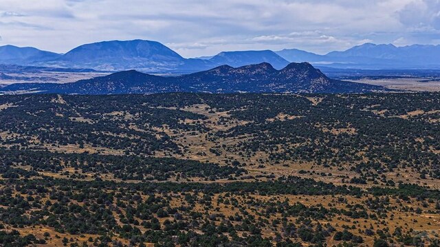 TBD Coyote Lake, Walsenburg, CO 81089