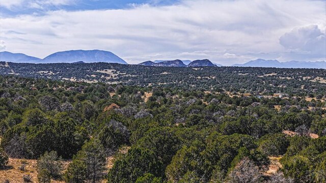 TBD Coyote Lake, Walsenburg, CO 81089