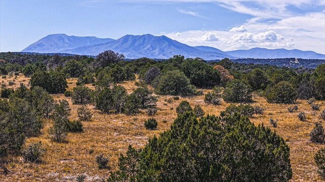 TBD Coyote Lake, Walsenburg, CO 81089