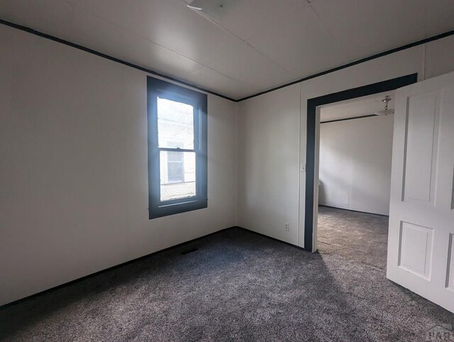 unfurnished bedroom featuring carpet floors