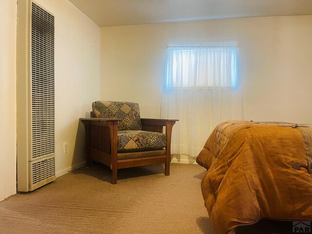 bedroom with a heating unit and light carpet