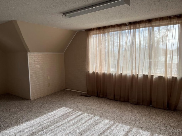 additional living space with a textured ceiling, lofted ceiling, and carpet flooring