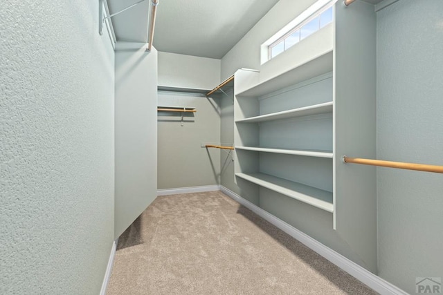 spacious closet featuring light colored carpet