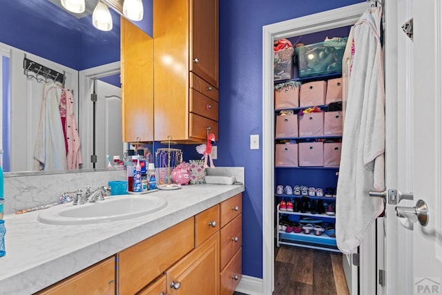 bathroom featuring wood finished floors and vanity