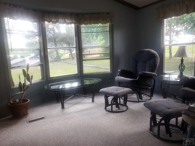 living area with lofted ceiling, visible vents, and carpet flooring