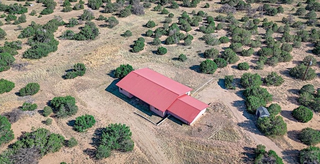 drone / aerial view