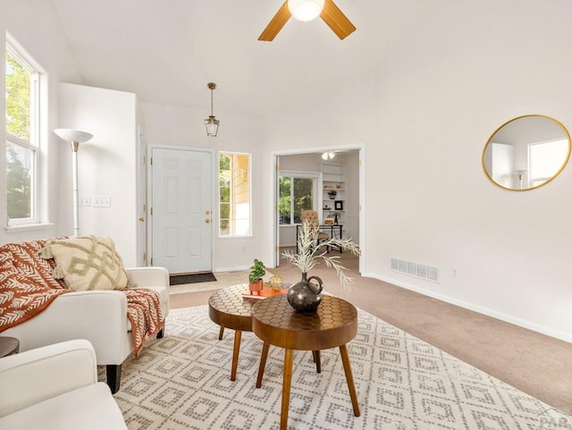 3933 Elk Ln, Pueblo, CO 81005 - photo 4