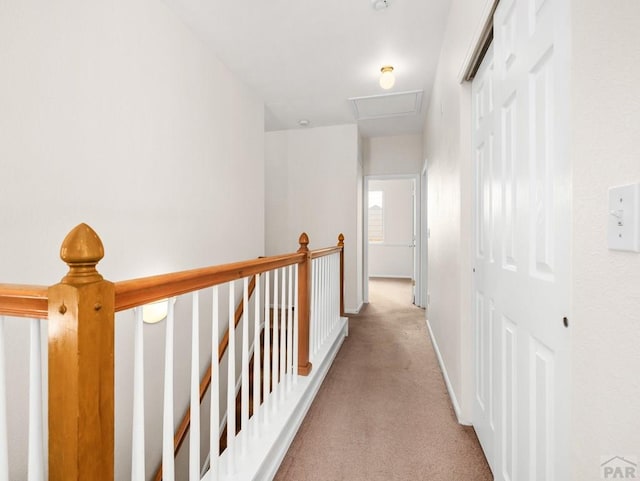 3933 Elk Ln, Pueblo, CO 81005 - photo 17