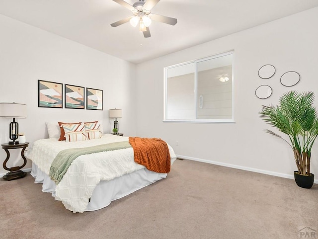 3933 Elk Ln, Pueblo, CO 81005 - photo 11