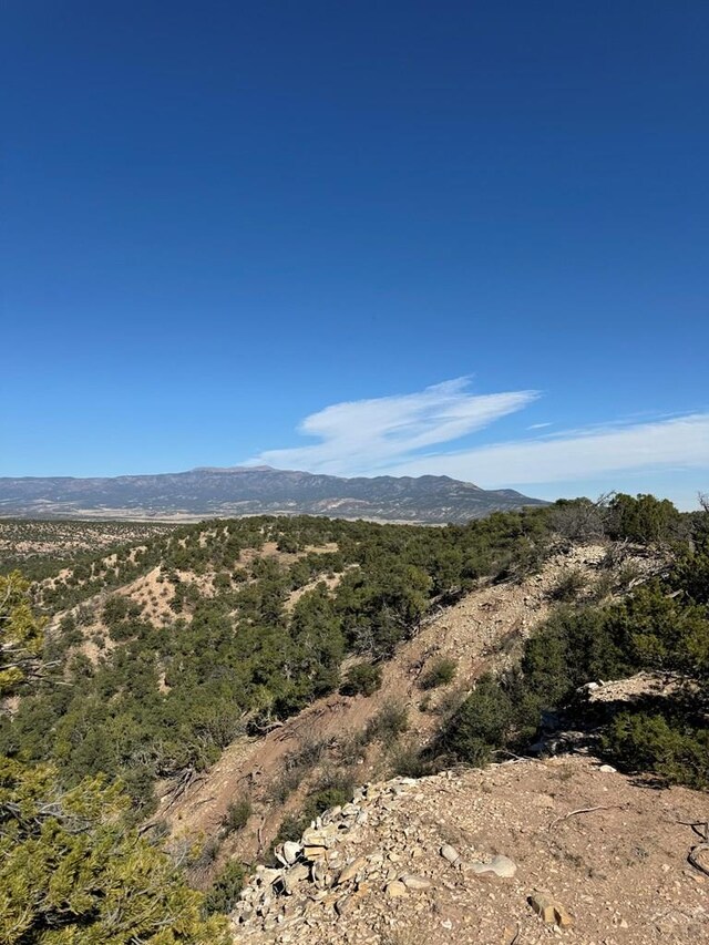 L41 County Rd 531, Walsenburg, CO 81089