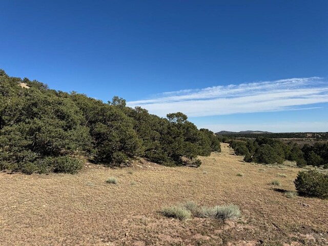 L41 County Rd 531, Walsenburg, CO 81089