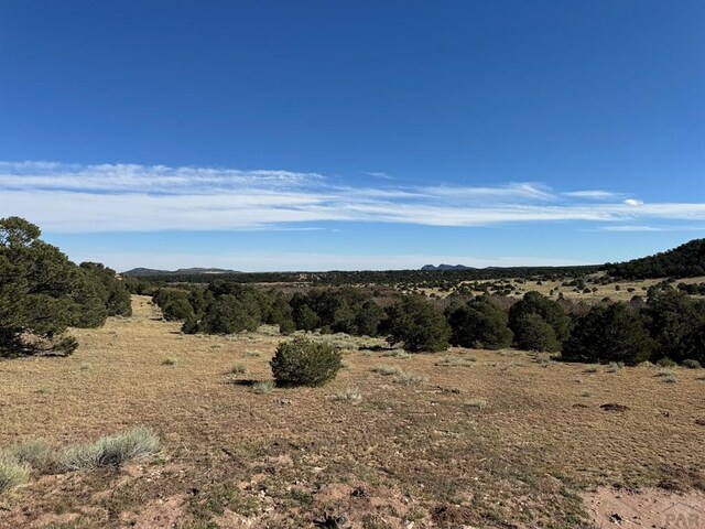 L41 County Rd 531, Walsenburg, CO 81089