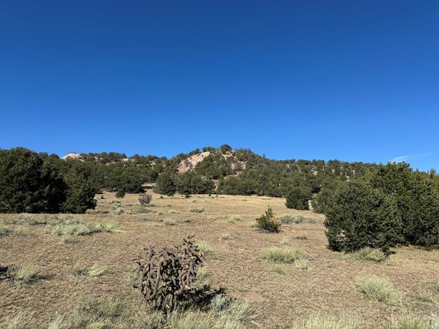 L41 County Rd 531, Walsenburg, CO 81089