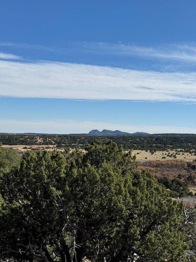 L41 County Rd 531, Walsenburg, CO 81089