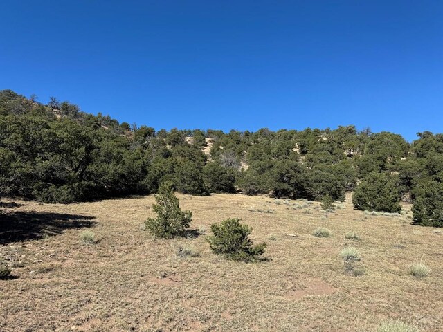 L41 County Rd 531, Walsenburg, CO 81089