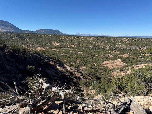 L41 County Rd 531, Walsenburg, CO 81089