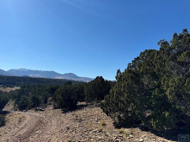 Listing photo 2 for L41 County Rd 531, Walsenburg CO 81089