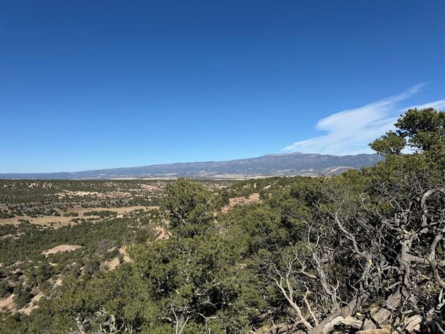 L41 County Rd 531, Walsenburg, CO 81089