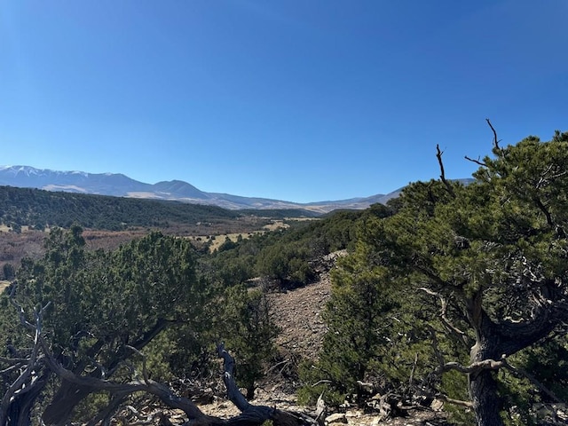 Listing photo 3 for L41 County Rd 531, Walsenburg CO 81089