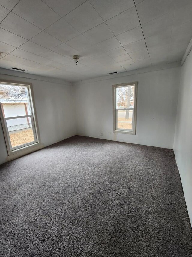 spare room with carpet floors