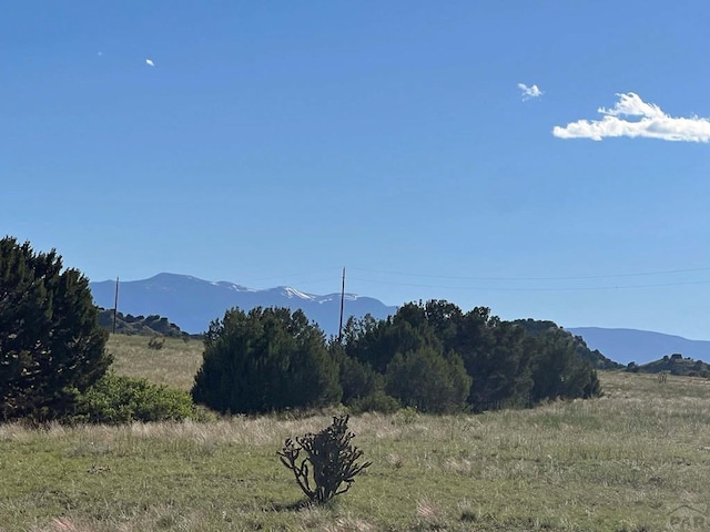 19 Salt Creek Rd, Pueblo CO, 81004 land for sale