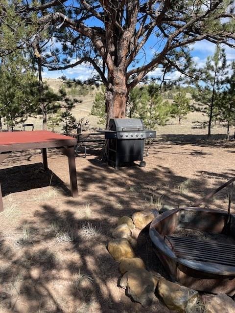 1043 Running Bear Rd, Hartsel, CO 80449