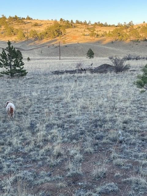 1043 Running Bear Rd, Hartsel, CO 80449