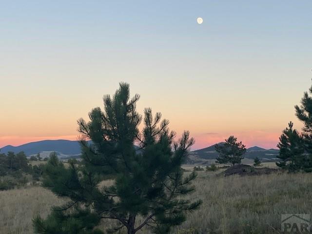 1043 Running Bear Rd, Hartsel, CO 80449
