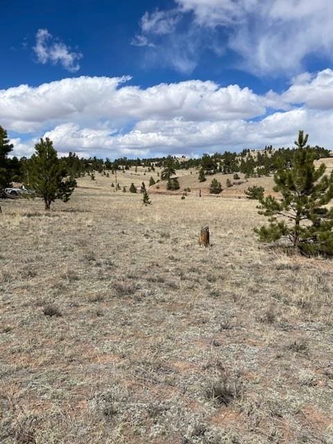 1043 Running Bear Rd, Hartsel, CO 80449
