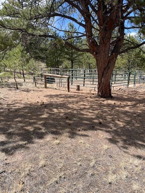 1043 Running Bear Rd, Hartsel, CO 80449